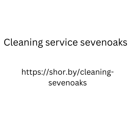 cleaning lady agency