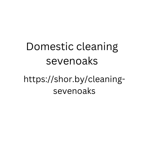 cleaning lady for hire